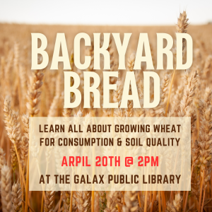 [GPL] Gardening Class: Backyard Bread: Growing Wheat for Consumption and Soil Quality @ Galax Public Library Meeting Room