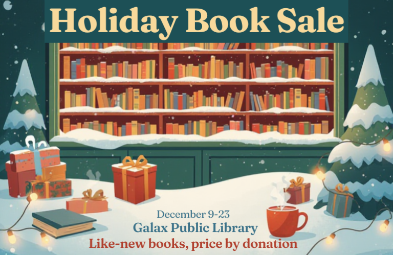 Holiday Book Sale Website Slider
