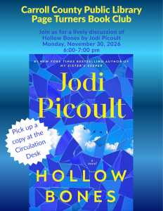 Book cover for Jodi Picoult's Hollow Bones with a picture of blue broken glass looking out onto a blue sky with white clouds and flying black birds.